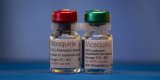 Lutte contre le paludisme : lâ€™Afrique Ã  un Â« tournant Â» grÃ¢ce au dÃ©ploiement du nouveau vaccin
